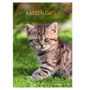 Bildkalender 10.1039 Motive "Katzen" 1Monat/1Seite 24x34cm 2024