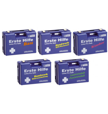Verbandkasten ProSafe blau   KFZ