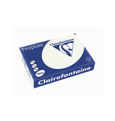Kopierpapier Trophee 1051C lindgr&uuml;n pastell A4 160g