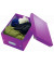 Aufbewahrungsbox Click & Store WOW 6043-00-62, 7,4 Liter mit Deckel, für A5, außen 282x216x160mm, Karton violett metallic