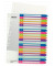 Kunststoffregister WOW 1245-00-00, 1 bis 20, A4, 300µm, farbige Taben, 20-teilig