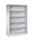 CP Regal silber/grau