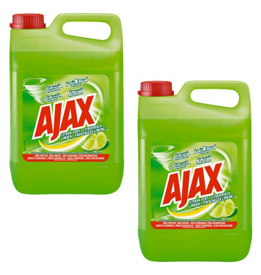 Allzweckreiniger 896039 CITROFRISCH