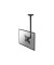 TV-Deckenhalterung 25,4 cm (10") - 101,6 cm (40") Neigbar+Schwenkbar NewStar Products FPMA-C060BLACK