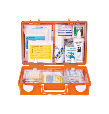 Erste-Hilfe-Kasten SN-CD Kunst & Werken ohne DIN orange