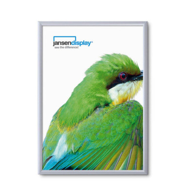 Plakat-Klapprahmen Standard, KRA0G25B1, silber, A0, 25mm Profil, Aluminiumrahmen