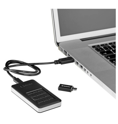 externe Festplatte Store 'n' Go Secure Portable VER53402, schwarz/silber, 256 GB