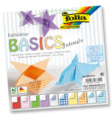 folia Bastelset BASICS INTENSIV