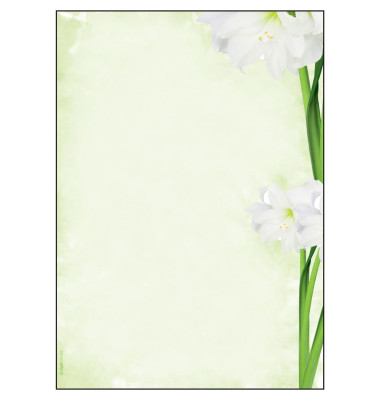 Briefpapier DP463, Green Flower, A4, 90g