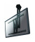 NEWSTAR TV-Deckenhalterung PLASMA-C100 schwarz