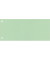 Trennstreifen 121000660 grün 160g gelocht 22,5x10,5cm 