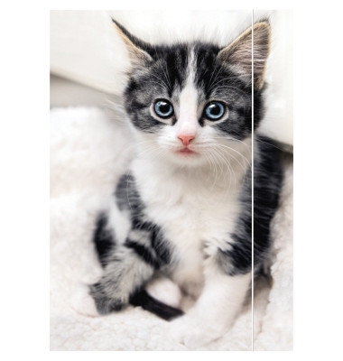 Zeichenmappe 45331, A3 mit Motiv, Karton 350g, 3 Einschlagklappen, 1 Gummizug (ganze H&ouml;he)