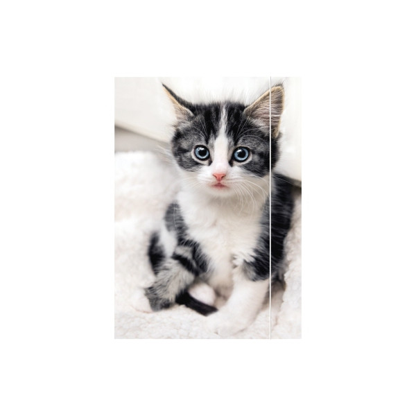 4002871453318 - Zeichenmappe 45331 A3 mit Motiv Karton 350g 3 Einschlagklappen 1 Gummizug (ganze Höhe) 4002871453318 RNK