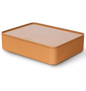 Aufbewahrungsbox ALLISON 1110-83 mit Deckel, für A5, außen 260x195x68mm, Kunststoff caramel brown