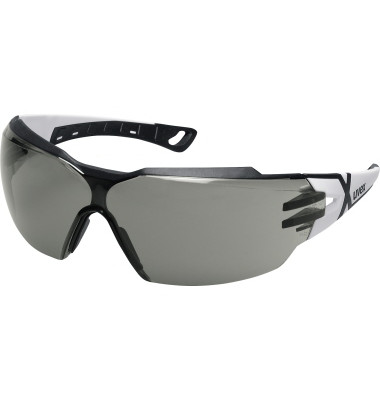 Schutzbrille pheos cx2 Polycarbonat Kunststoff grau Schutzbrille pheos cx2 Polycarbonat Kunststoff grau