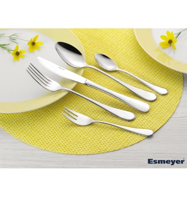Besteckgarnitur CELINE Mehrweg 6 x Löffel, Messer, Gabeln, Kaffeelöffel, Kuchengabeln Edelstahl silber Besteckgarnitur CELINE Mehrweg 6 x Löffel, Messer, Gabeln, Kaffeelöffel, Kuchengabeln Edelstahl silber