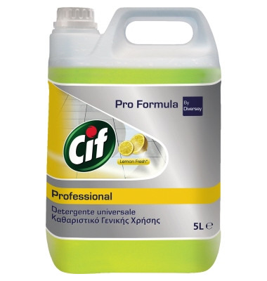 Allzweckreiniger Professional Fliesen, Laminat, Kunststoff, Keramik Zitrus 5l