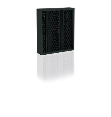 Aktivkohle Filter 8710012 f&uuml;r Luftreiniger AP100