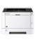 SW-Laserdrucker P2235dw duplex A4 35ppm