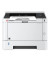 SW-Laserdrucker P2040dw duplex A4 40ppm