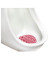 Wave Urinaleinsatz Spiced Apple 81006