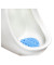 Wave Urinaleinsatz Cotton Blossom 81007