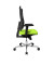 Bürodrehstuhl Sitness X-Pander Plus mit Armlehnen grün SI959WGT350