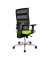 Bürodrehstuhl Sitness X-Pander Plus mit Armlehnen grün SI959WGT350