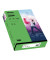 Kopierpapier colors 2100011403 grün intensiv A4 80g 