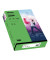 Kopierpapier colors 2100011403 grün intensiv A4 80g 500 Blatt