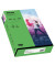 Kopierpapier colors 2100011347 grün intensiv A4 120g 250 Blatt