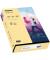 Kopierpapier colors 2100011362 chamois A4 160g 