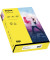 Kopierpapier colors 2100011363 gelb A4 160g 250 Blatt