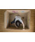 Buntstift woody 3 in 1 dunkelgrün 10mm extradick