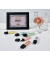Textmarker BOSS ORIGINAL, 70/4-2, Etui, 4-farbig sortiert, 2-5mm Keilspitze
