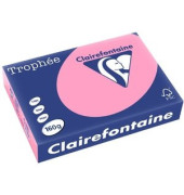 Kopierpapier Trophee 1013C heckenrose pastell A4 160g 