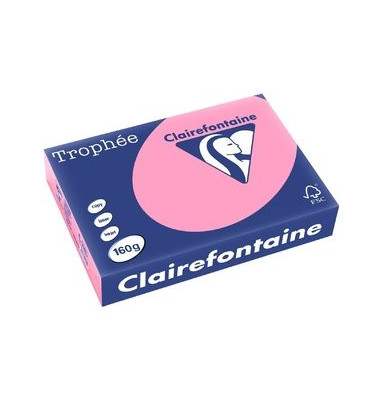 Kopierpapier Trophee 1013C A4 160g heckenrose pastell 