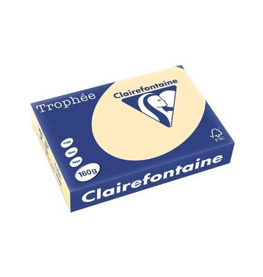 Multifunktionspapier Trophée, A4, 160 g/m², chamois, pastell
