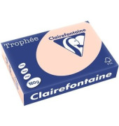 Kopierpapier Trophee 1104C lachs pastell A4 160g 