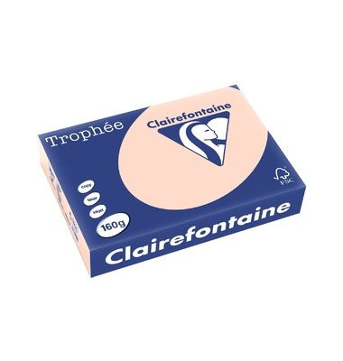 Kopierpapier Trophee 1104C A4 160g lachs pastell 