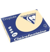 Kopierpapier Trophee 1253C chamois pastell A3 80g 