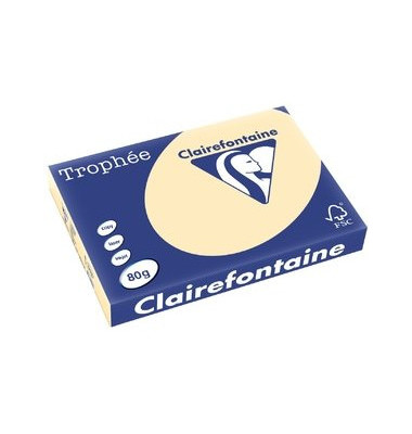 Kopierpapier Trophee 1253C A3 80g chamois pastell 