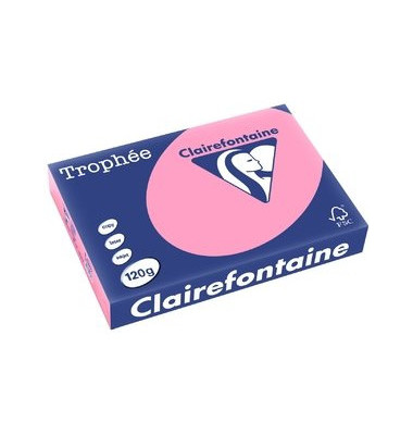 Kopierpapier Trophee 1277C A4 120g heckenrose pastell 