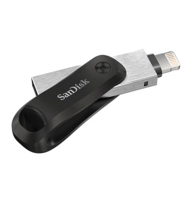 USB-Stick iXpand Go SDIX60N-256G-GN6NE, schwarz/silber, 256 GB