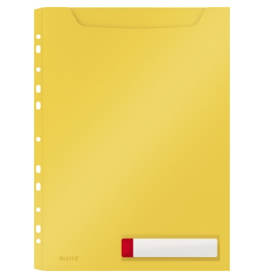 Prospekth&uuml;llen Cosy Privacy Maxi 4668-00-19, A4 transluzent genarbt, oben offen, 0,2mm