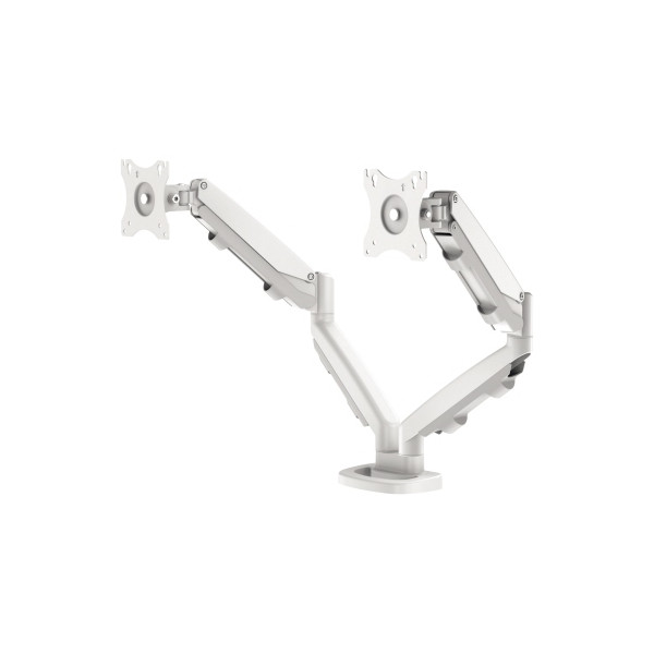 0043859749348 - EPPA Doppel-Monitorarm Schwenkbereich 180° HxBxT 480 x 100 x 560 mm weiß Fellowes