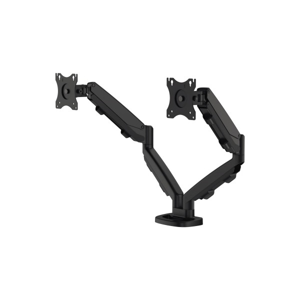 0043859749331 - EPPA Doppel-Monitorarm Schwenkbereich 180° HxBxT 480 x 100 x 560 mm schwarz Fellowes