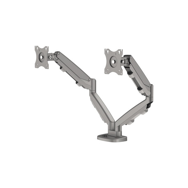 0043859749324 - EPPA Doppel-Monitorarm Schwenkbereich 180° HxBxT 480 x 100 x 560 mm silber Fellowes