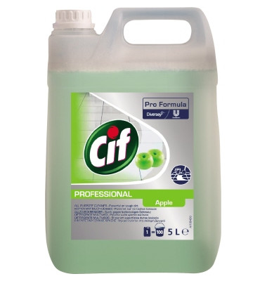 Allzweckreiniger Professional 100958290 Apfel 5l