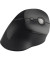 Maus Pro Fit Ergo K75501EU vertikal kabellos sw